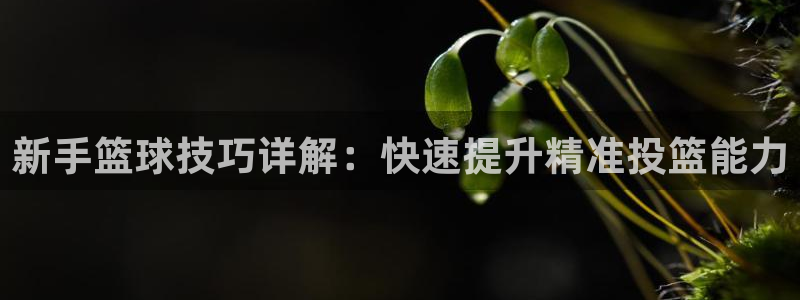 新手篮球技巧详解：快速提升精准投篮能力