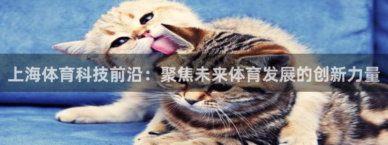 上海体育科技前沿：聚焦未来体育发展的创新力量