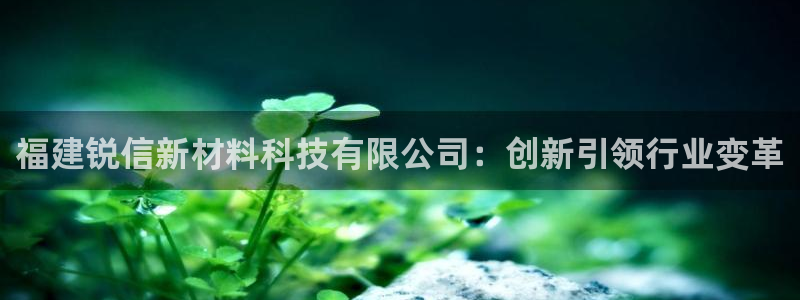 福建锐信新材料科技有限公司：创新引领行业变革