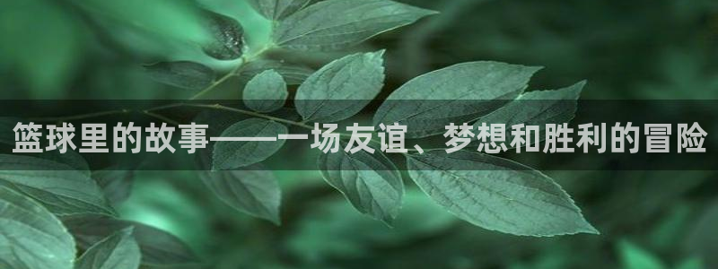 篮球里的故事——一场友谊、梦想和胜利的冒险