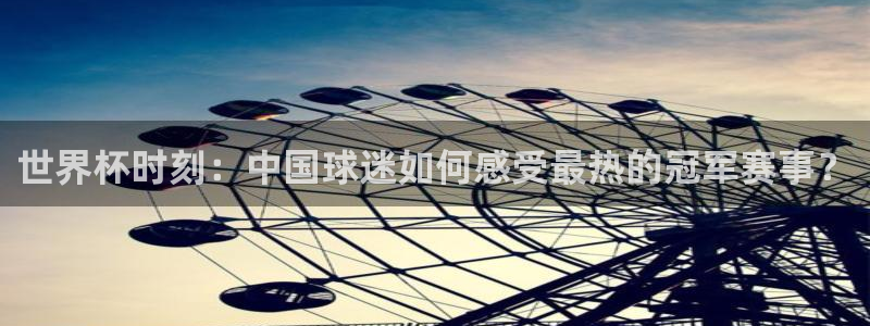世界杯时刻：中国球迷如何感受最热的冠军赛事？