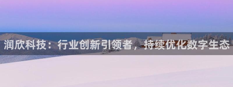 润欣科技：行业创新引领者，持续优化数字生态