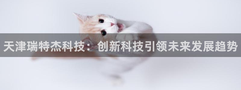 天津瑞特杰科技：创新科技引领未来发展趋势