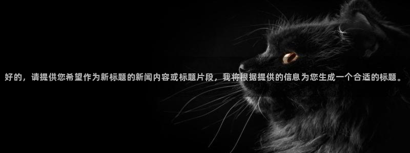 好的，请提供您希望作为新标题的新闻内容或标题片段，我将根据提供的信息为您生成一个合适的标题。
