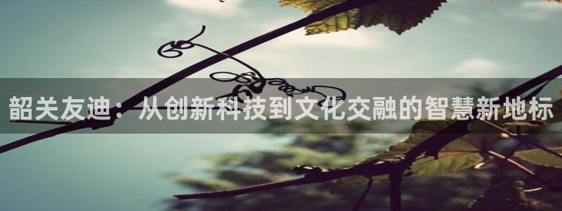 韶关友迪：从创新科技到文化交融的智慧新地标