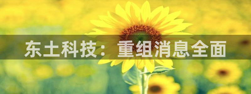 东土科技：重组消息全面