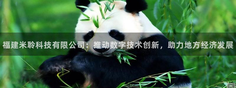 福建米聆科技有限公司：推动数字技术创新，助力地方经济发展