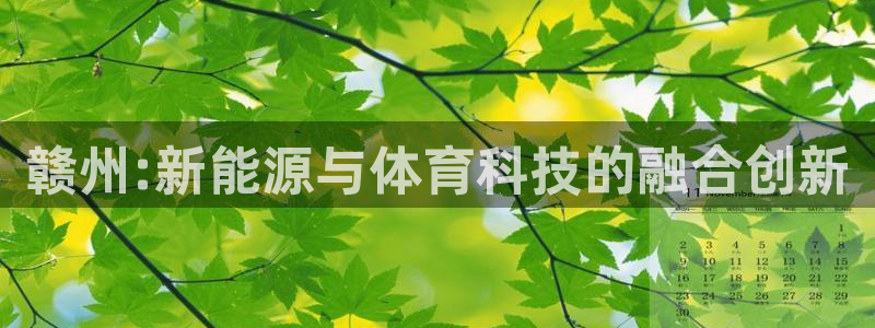 赣州:新能源与体育科技的融合创新