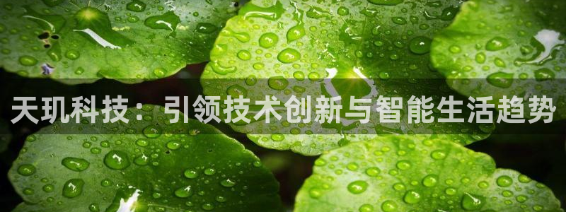 天玑科技：引领技术创新与智能生活趋势
