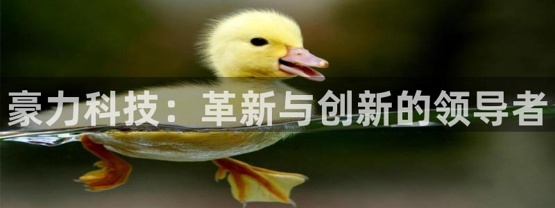 豪力科技：革新与创新的领导者