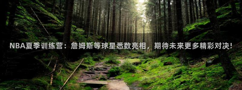 NBA夏季训练营：詹姆斯等球星悉数亮相，期待未来更多精彩对决!