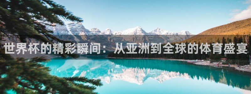 世界杯的精彩瞬间：从亚洲到全球的体育盛宴