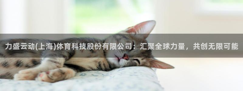 力盛云动(上海)体育科技股份有限公司：汇聚全球力量，共创无限可能