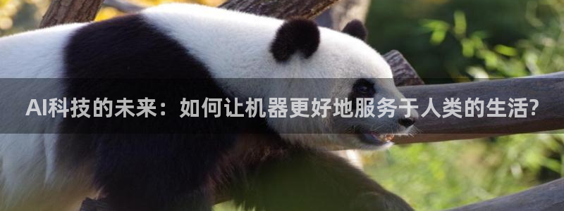 AI科技的未来：如何让机器更好地服务于人类的生活?