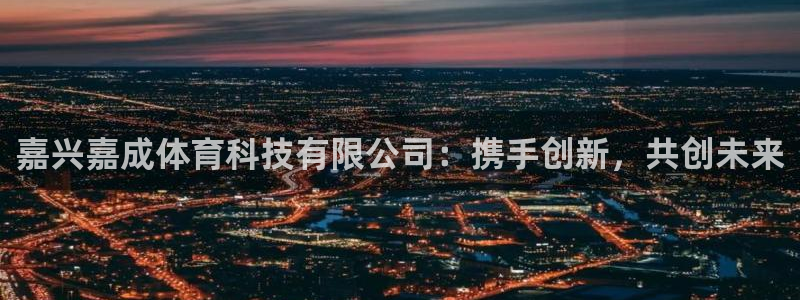 嘉兴嘉成体育科技有限公司：携手创新，共创未来