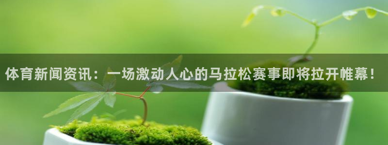 体育新闻资讯：一场激动人心的马拉松赛事即将拉开帷幕！