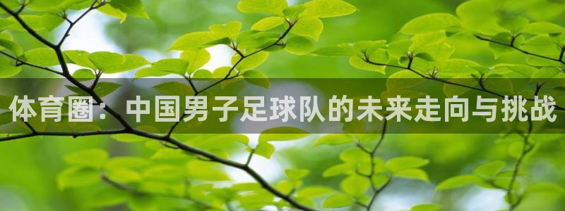体育圈：中国男子足球队的未来走向与挑战