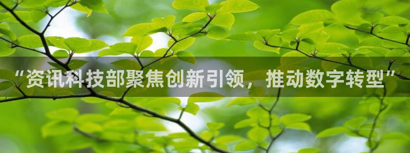 “资讯科技部聚焦创新引领，推动数字转型”
