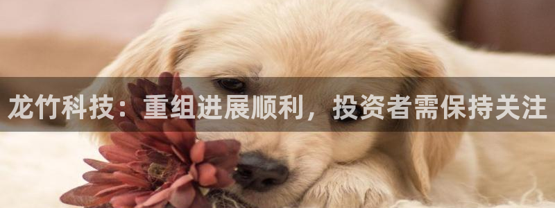 龙竹科技：重组进展顺利，投资者需保持关注