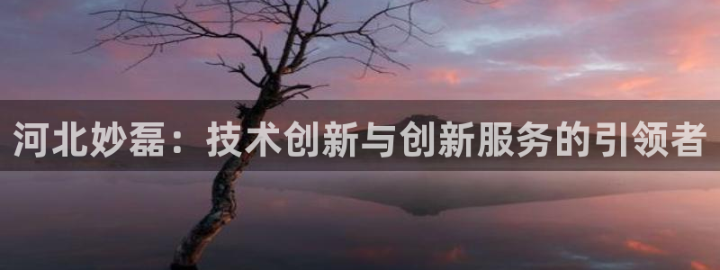 河北妙磊：技术创新与创新服务的引领者