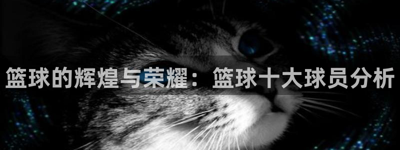 篮球的辉煌与荣耀：篮球十大球员分析
