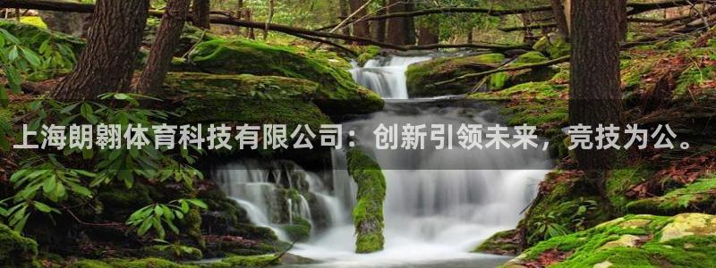上海朗翱体育科技有限公司：创新引领未来，竞技为公。