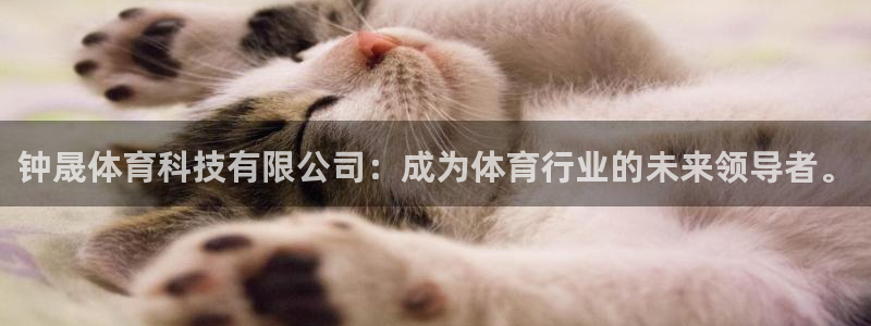 钟晟体育科技有限公司：成为体育行业的未来领导者。