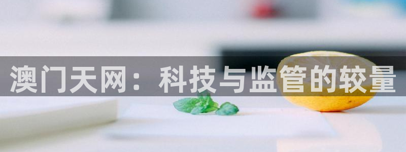 澳门天网：科技与监管的较量