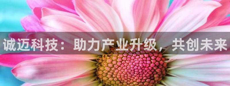 诚迈科技：助力产业升级，共创未来