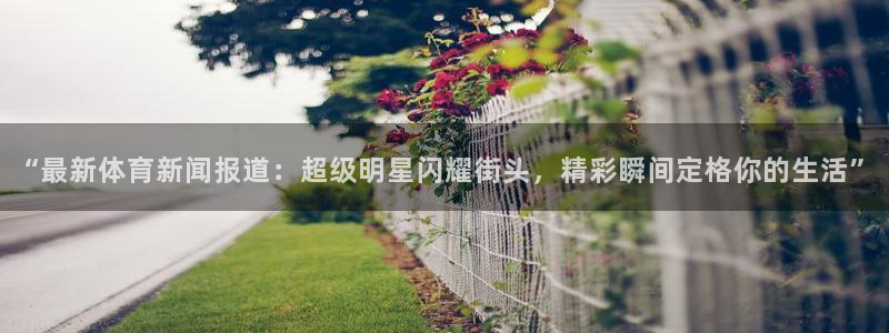 “最新体育新闻报道：超级明星闪耀街头，精彩瞬间定格你的生活”