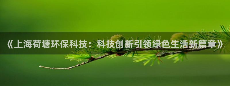 《上海荷塘环保科技：科技创新引领绿色生活新篇章》